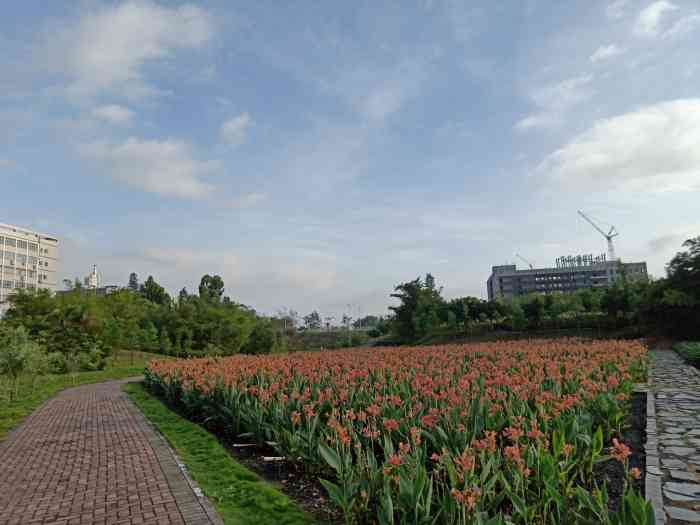 坪山湿地公园"坪山湿地公园我早就想过来转转了,当初是听.