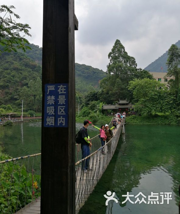 鼎湖区 高要市其他 景点 自然风光 紫云谷原生态景区 所有点评