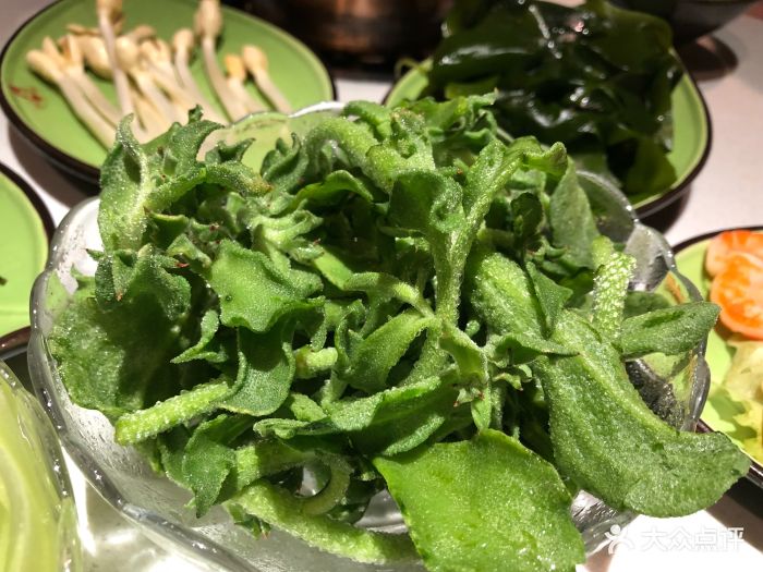 一叶一世界藏茶蔬食火锅(龙泉店)冰草图片 - 第216张