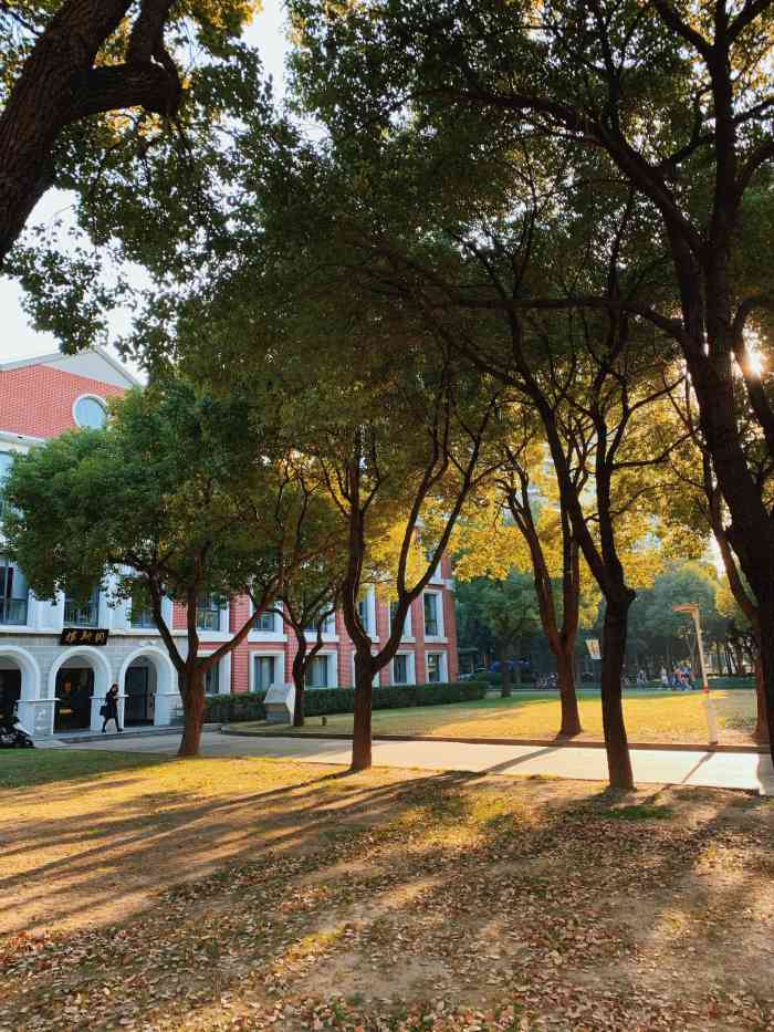 上海财经大学(国定路校区"当初一直觉得财大不是985,可能不如复旦.