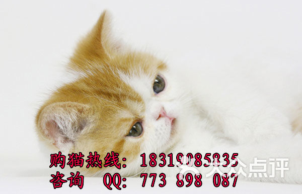 BP9Vh0AsUY0g7nhuSfThI3xyXTGfQwVmLgpsFyFi5ZpF-0yissx54CYggZKkmVktTYGVDmosZWTLal1WbWRW3A.jpg