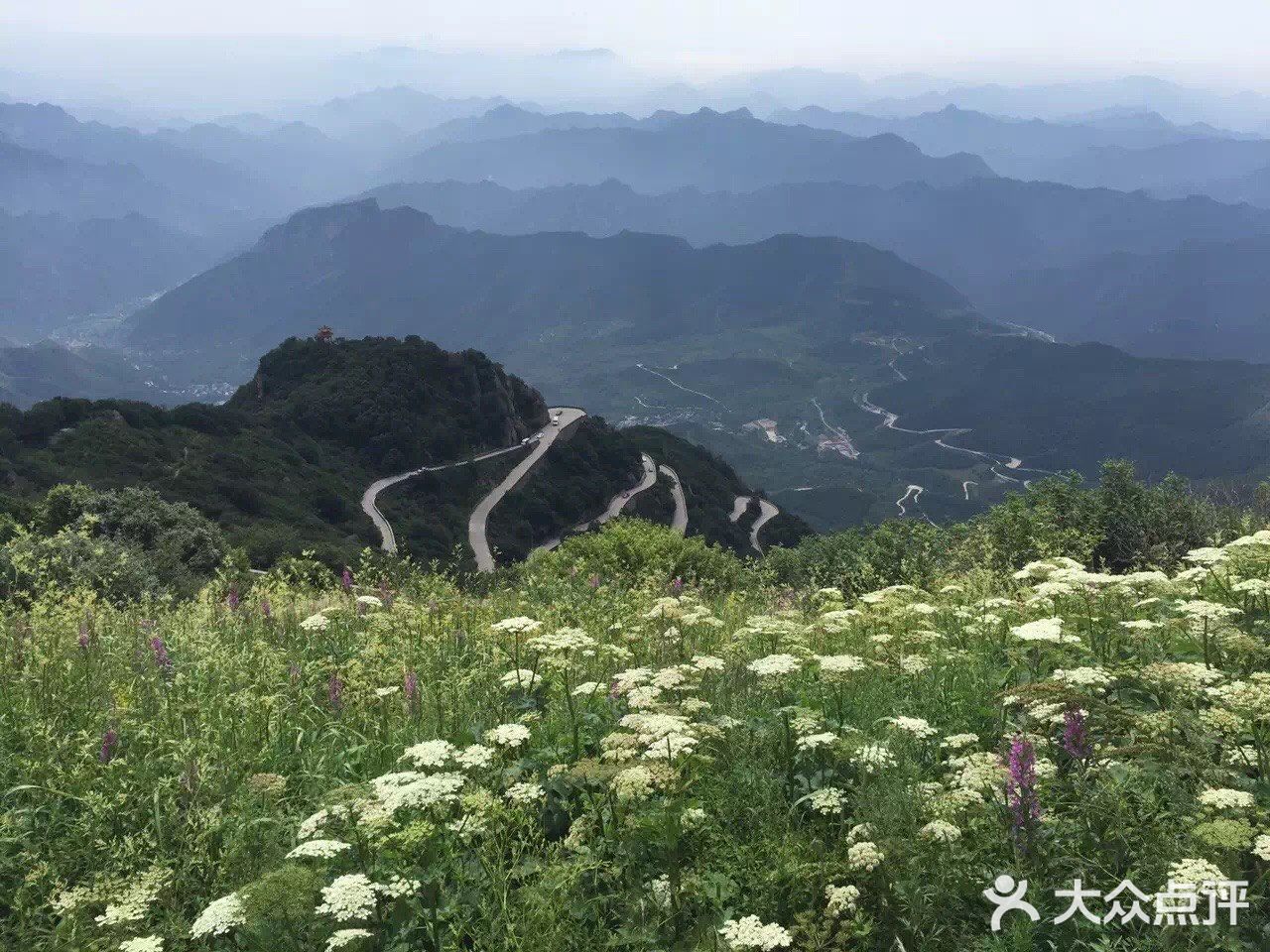 北京最美高山草甸