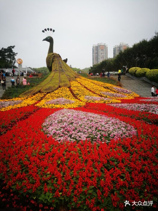 深圳国际园林花卉博览园图片