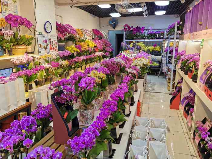 虹桥古玩城鲜花市场