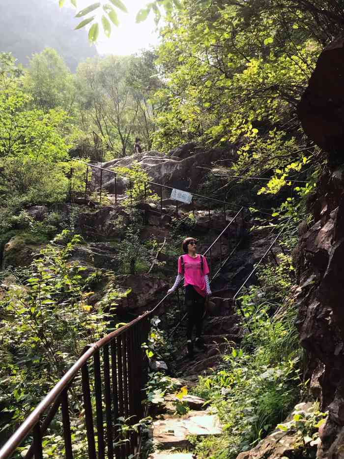 云岫谷游猎自然风景区