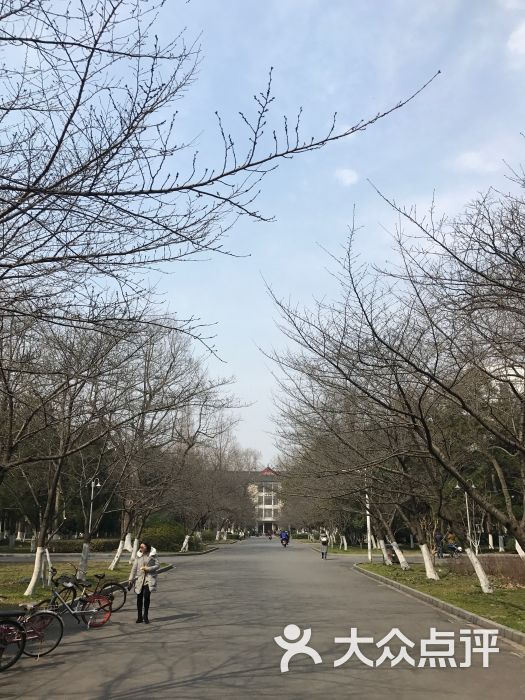 南京林业大学图片 - 第8张