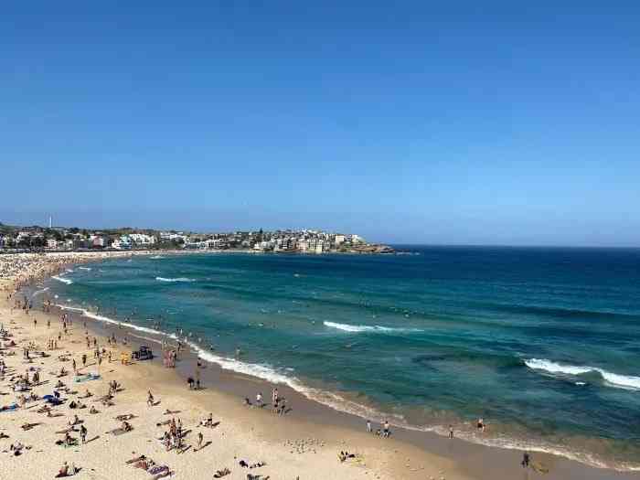 bondi beach playground-"#悉尼自由行的最后一天,的.