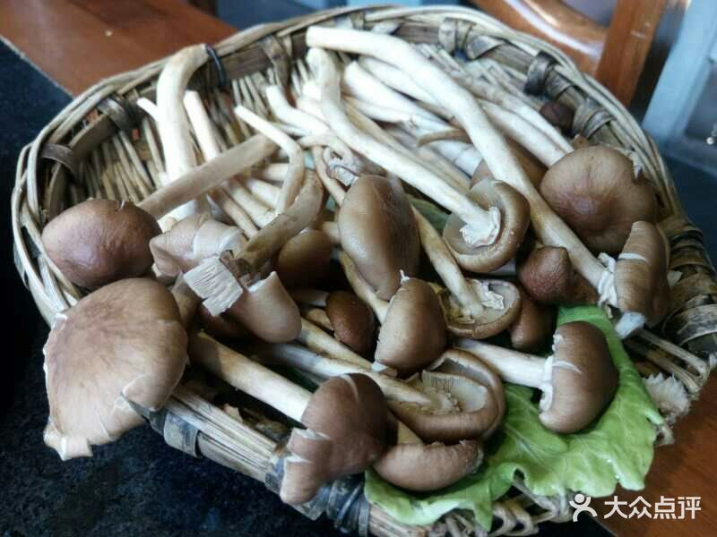 蜀川行火锅(双林路总店)茶树菇图片 - 第600张