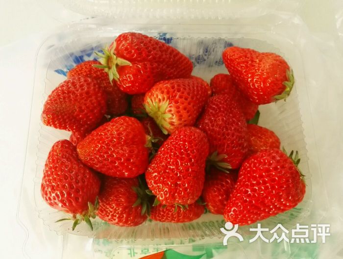 第四届北京农业嘉年华(北京昌平草莓博览园)-图