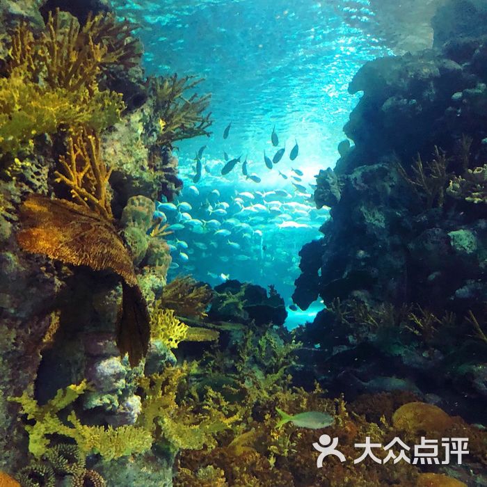上海海洋水族馆