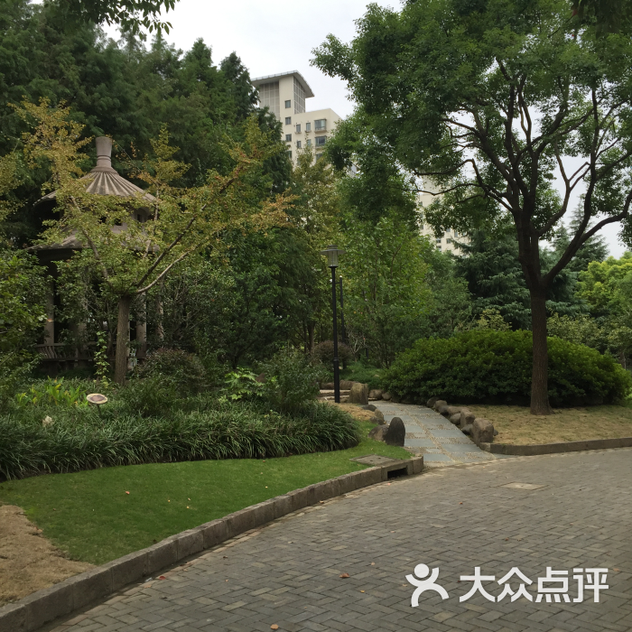 桃浦公园图片 第19张