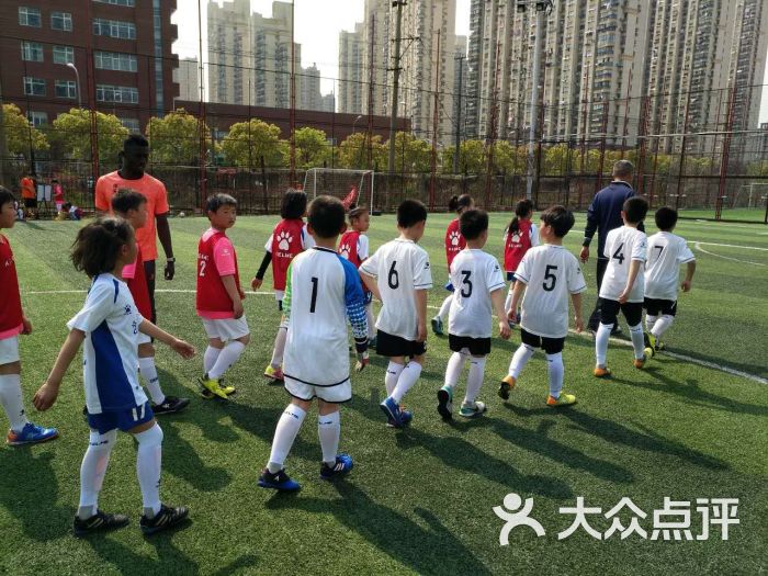 创林青少年足球训练营足球培训-图片-上海运动