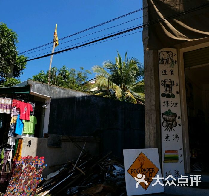 大象孤儿院图片 第2张