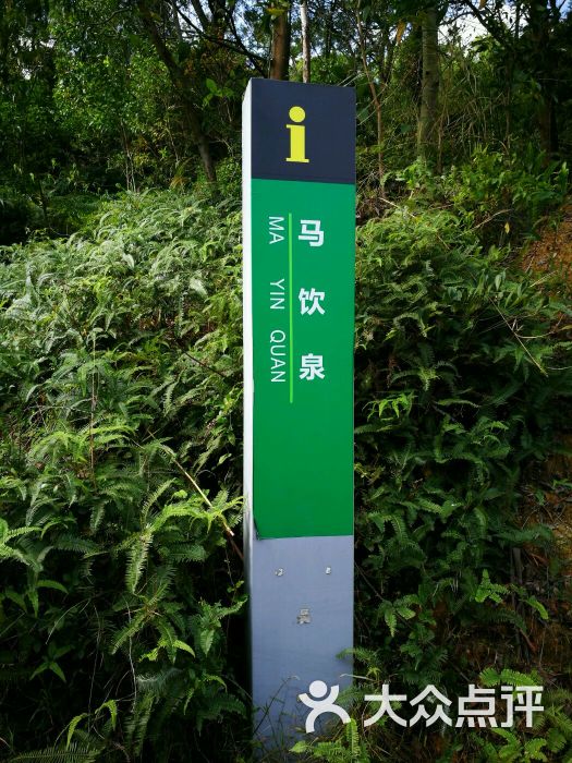 番禺大夫山森林公园旅游区图片 - 第2张