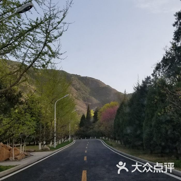 杏林山庄图片-北京舒适型-大众点评网