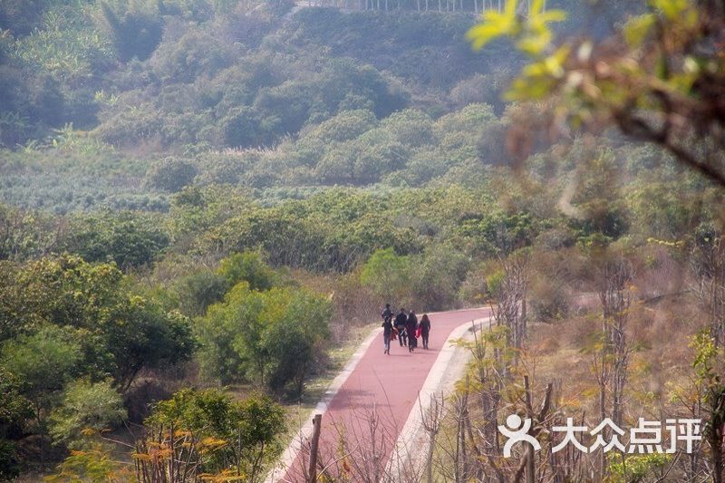 洋麻山森林公园图片 - 第2张