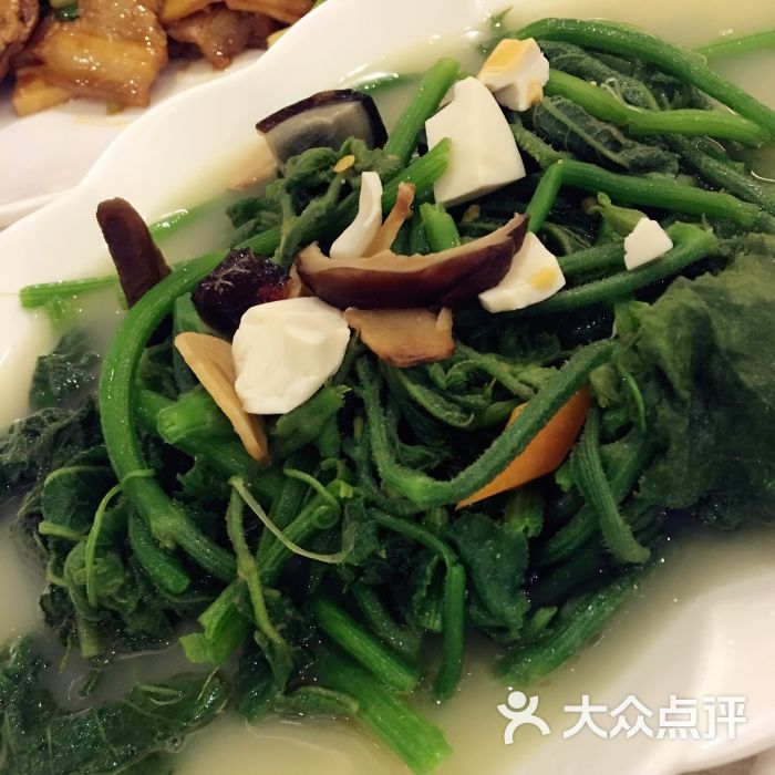 上汤南瓜苗