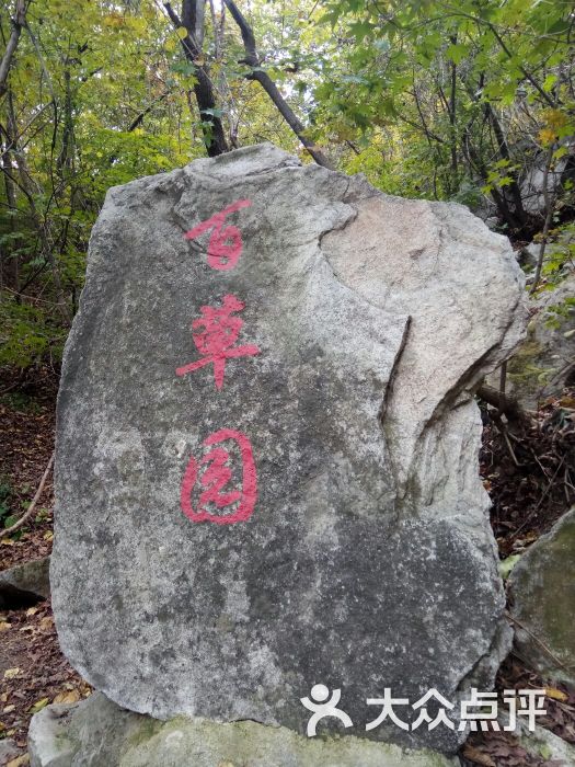 老帽山旅游风景区-图片-普兰店区周边游-大众点评网