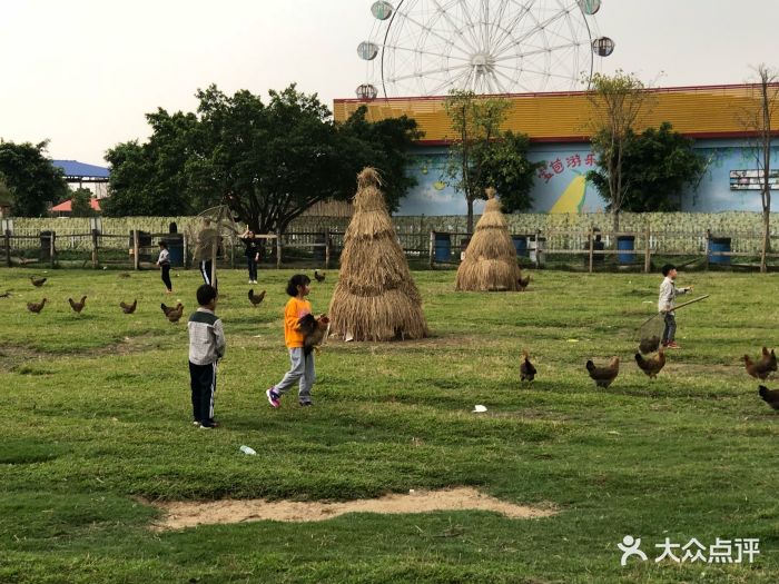 宝苞农场-图片-三水区周边游-大众点评网