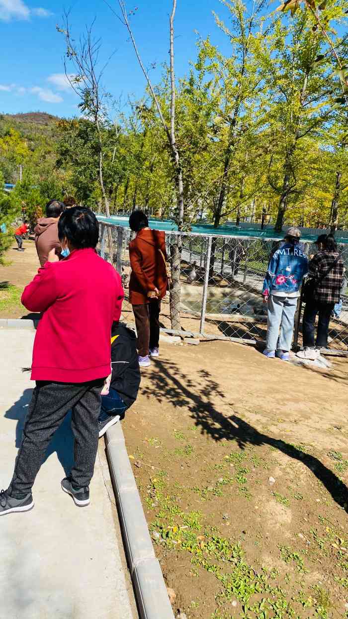 隆承动物园-"购买大马戏门票赠送动物园的门票.这家动.