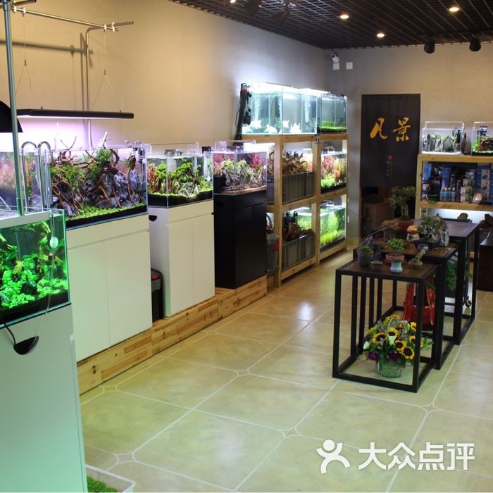 凡景水族馆生态造景鱼缸图片-北京宠物店-大众点评网