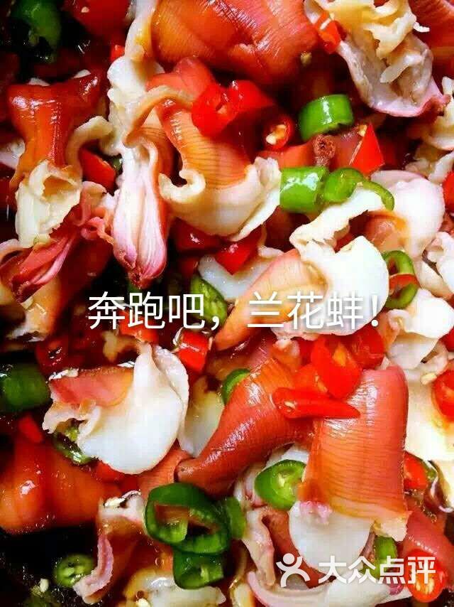兰花蚌