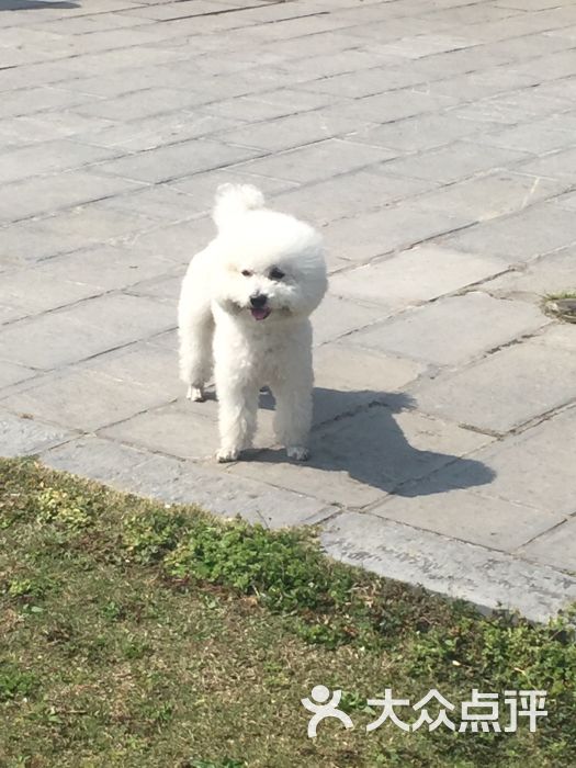 下马坊遗址公园