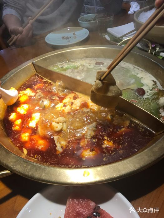 陈娟火锅制造(龙虎塘和枫苑店)图片 - 第21张