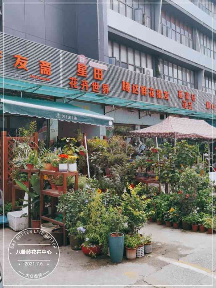 八卦岭花卉中心地铁7号线八卦岭站b出口好像只有这个出口比较近上次我