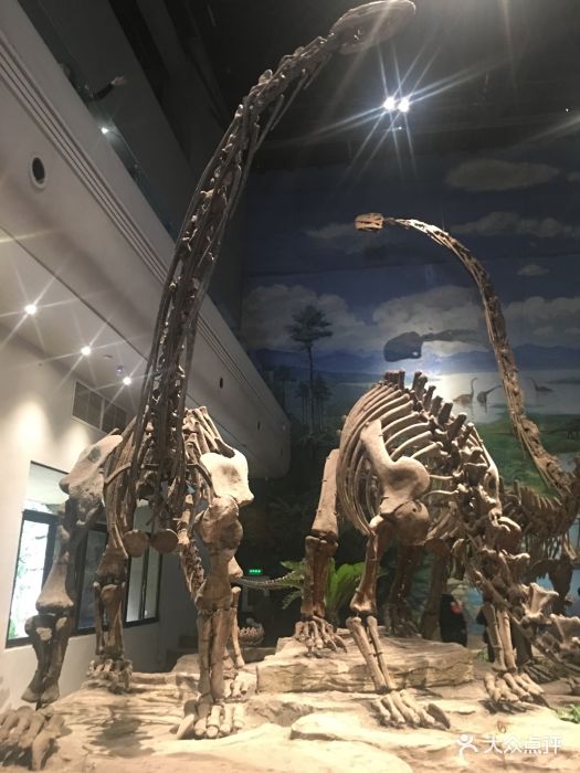 自贡恐龙博物馆图片 - 第14张