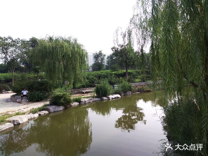 长虹生态园图片 - 第30张
