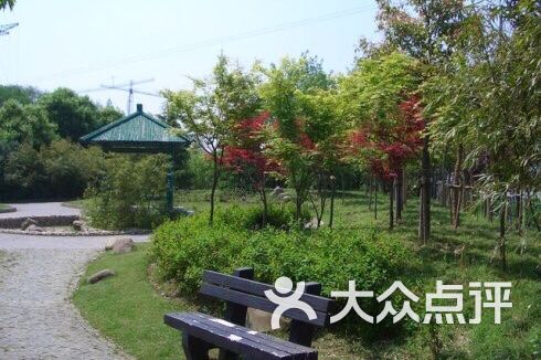 桃浦公园图片 第2张