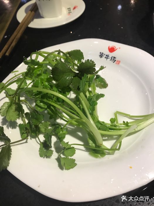 宰牛场重庆老火锅香菜图片 第1张