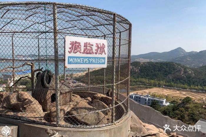 西霞口神雕山野生动物园-景点-环境-景点图片-荣成游