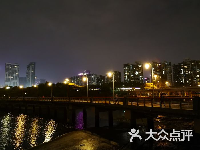 深圳湾公园:坐地铁在华侨东下车,每人扫一辆.深