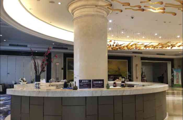 华辰凤庭大酒店-"开会期间住在这,酒店设施还是可以的,服务.