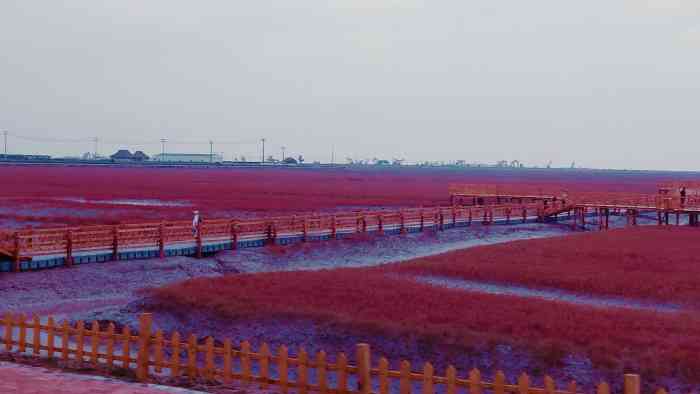 盘锦红海滩湿地科学馆