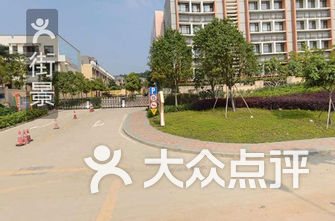 深圳市小学排名