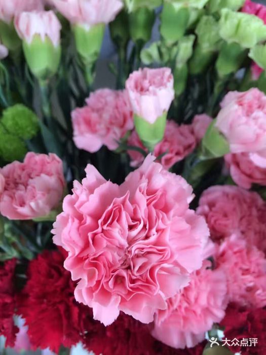 北京爱尚幸福鲜花礼品店