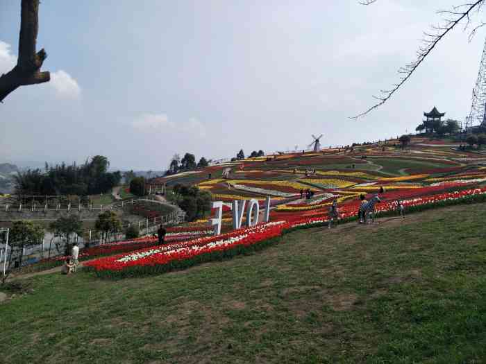 彩山四季花海景区-"老爸过生日,带我们来这里玩,满山.