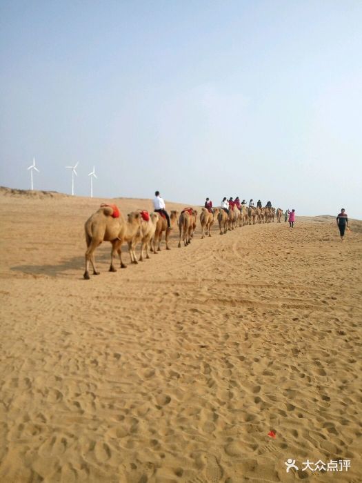 厚田沙漠生态旅游景区-图片-南昌周边游-大众点评网