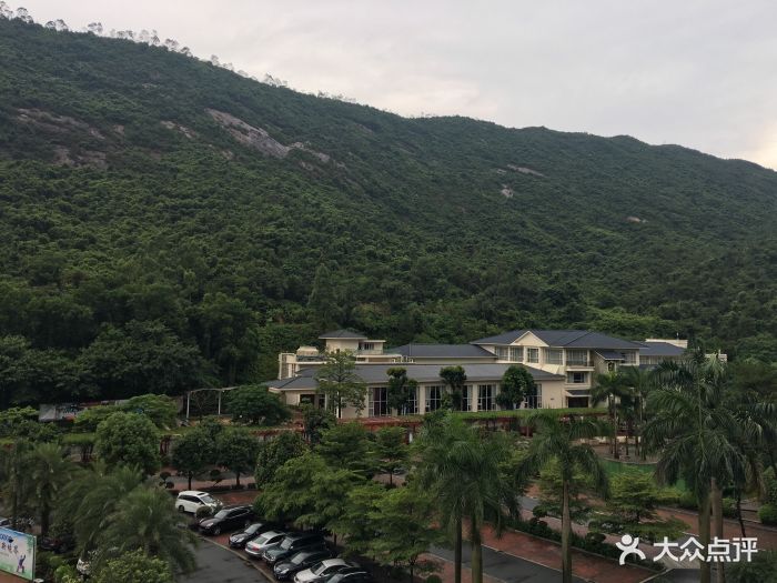 龙泉酒店沙滩游泳池-图片-新会运动健身-大众点评网