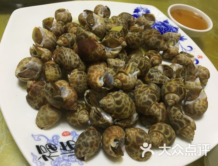 传杰海鲜酒店-海螺图片-烟台美食-大众点评网