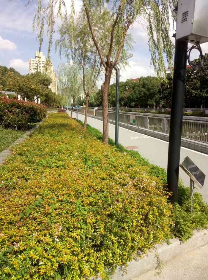 嘉川路小游园"交通 位于徐汇区嘉川路-大众点评移动版