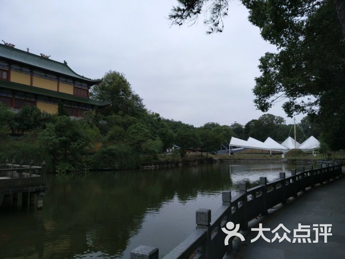 竹林禅寺-图片-龙游县周边游-大众点评网