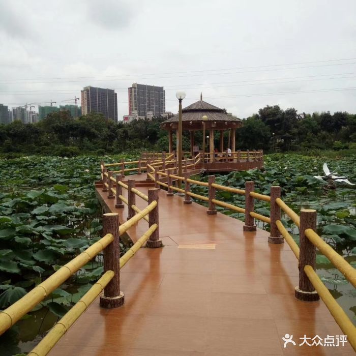 绿塘河国家城市湿地公园-图片-湛江周边游-大众点评网