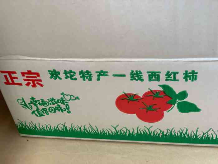 欢坨一线西红柿在天津久负盛名,老百姓都认可.