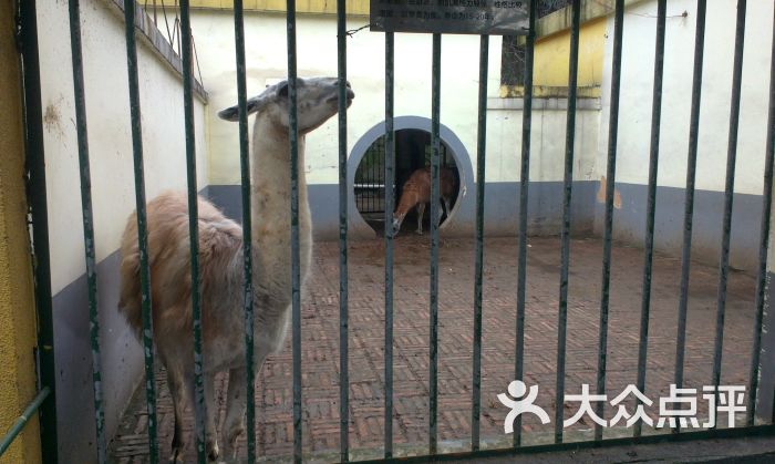 衡阳动物园imag0056图片 - 第44张