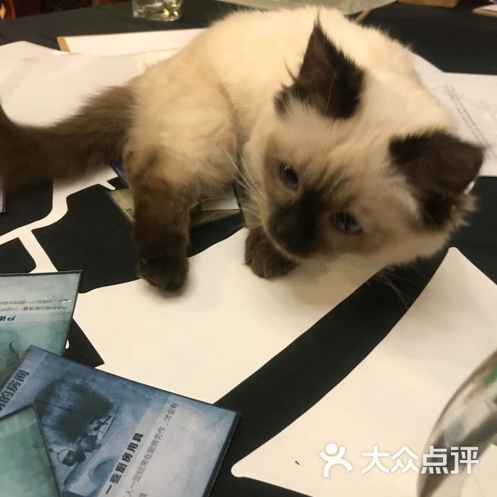 左先生探案馆:特别感谢老板发的福利,周一临时