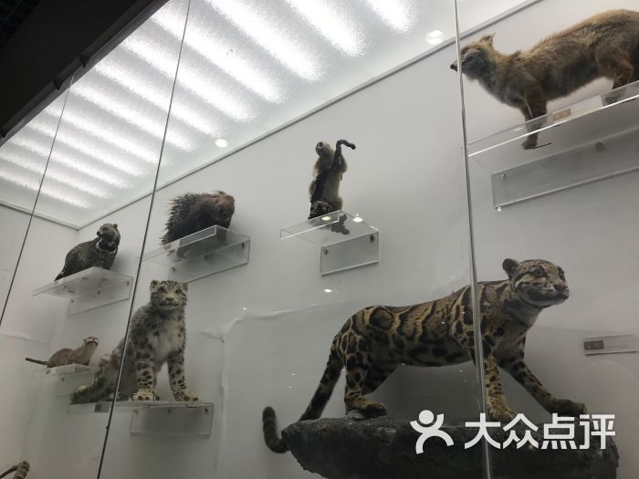 北京自然博物馆图片 - 第7张